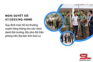 (Inforgraphic) - Quy định mức hỗ trợ thường xuyên hằng tháng cho các chức danh đội trưởng, đội phó đội dân phòng trên địa bàn tỉnh Sơn La