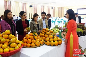 Hỗ trợ phát triển chuỗi cung ứng nông sản, thủy sản an toàn