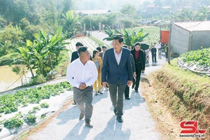 Mai Sơn phát huy sức mạnh đại đoàn kết toàn dân tộc