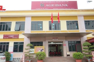 Agribank Phù Yên thúc đẩy thanh toán không dùng tiền mặt