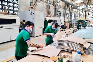 Khẳng định vị thế của Việt Nam trong hội nhập kinh tế