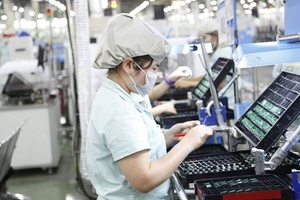 Chính sách mở cửa của Việt Nam thu hút doanh nghiệp Đức