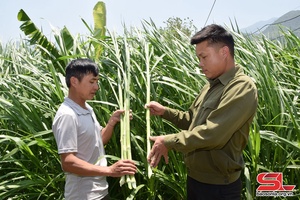 Đổi mới hoạt động, hướng mạnh về cơ sở