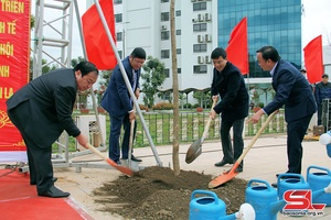 Khí thế ra quân đầu xuân