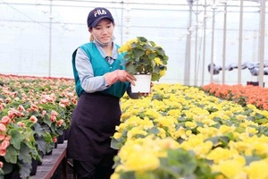 Năm 2030, khoa học, công nghệ và đổi mới sáng tạo sẽ đóng góp hơn 50% vào tăng trưởng nông nghiệp
