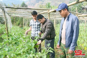 Đồng hành cùng nông dân phát triển sản xuất