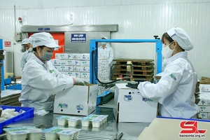 Mộc Châu Milk nghiên cứu phát triển nhiều sản phẩm mới