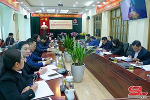 Triển khai Nghị quyết  số 11/NQ-CP kịp thời, hiệu quả