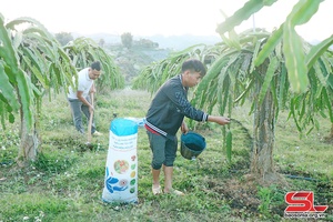 Sản xuất tốt gắn với xuất khẩu nông sản hiệu quả
