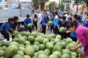 Tạo đầu ra ổn định cho nông sản
