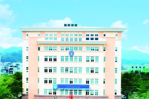 'Thông báo về tên gọi, trụ sở và cơ cấu tổ chức các phòng nghiệp vụ thuộc Bảo hiểm xã hội khu vực II