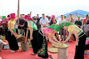 Tăng cường liên kết, hợp tác phát triển du lịch