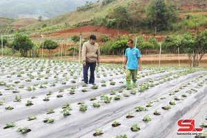 Tăng cường sự lãnh đạo của Đảng đối với công tác hội và phong trào nông dân