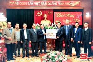 Tập đoàn Công nghiệp cao su Việt Nam chúc tết Thường trực Tỉnh ủy