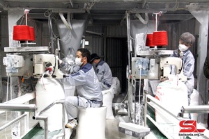 Duy trì, phục hồi phát triển lĩnh vực công thương