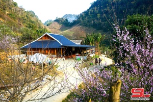Sắc xuân vùng cao