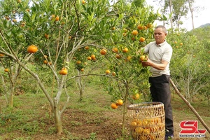 Sốp Cộp phát huy hiệu quả các mô hình “Dân vận khéo”