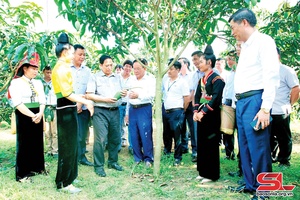 Phát huy nội lực, đoàn kết, sáng tạo, sớm đưa Sơn La trở thành một cực tăng trưởng, trung tâm kinh tế của tiểu vùng Tây Bắc