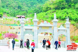 Rừng Đại tướng Võ Nguyên Giáp