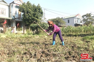 Nông dân huyện Mường La chuẩn bị gieo cấy vụ lúa xuân