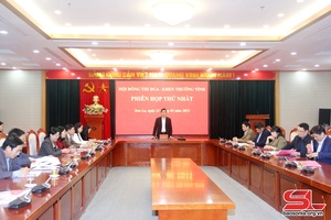 Hội đồng TĐKT tỉnh họp xét đề nghị khen thưởng cấp Nhà nước và cấp tỉnh