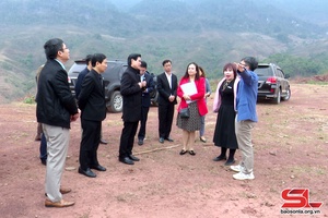 Đồng chí Chủ tịch UBND tỉnh kiểm tra 1 số dự án trên địa bàn huyện Vân Hồ