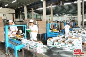 Kỷ niệm 60 năm Ngày thành lập Công đoàn Sơn La (25/2/1963 - 25/2/2023): Phát huy truyền thống cách mạng, xây dựng tổ chức công đoàn và giai cấp công nhân Sơn La ngày càng vững mạnh