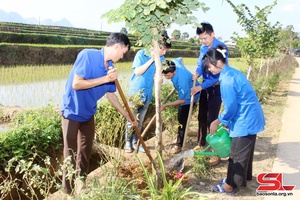 Tuổi trẻ Quỳnh Nhai nhiều hoạt động hướng về cơ sở 