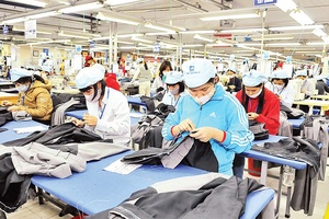 Sớm hoàn thiện các chế tài xử lý vi phạm pháp luật về bảo hiểm xã hội
