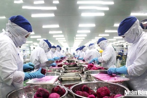 Nhiều thách thức với thị trường lao động trong năm 2023
