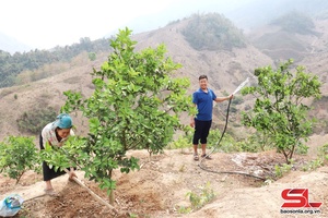 Triển khai nhiều giải pháp để giảm nghèo bền vững