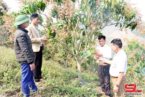 Nhiều đổi thay ở Liệp Tè