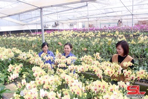 Linh hoạt, sáng tạo thực hiện hiệu quả công tác hội và phong trào phụ nữ