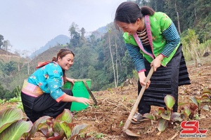 Lên vùng cao Co Mạ