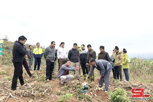 Chuyển giao khoa học, kỹ thuật - nhân rộng mô hình khuyến nông 