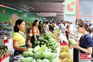 Cơ chế, chính sách - chìa khóa đưa nông nghiệp Sơn La bứt phá ● Kỳ 2:  Chuỗi chính sách "nở hoa" trong thực tiễn