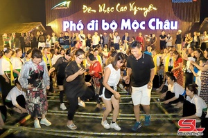 Náo nức trên cao nguyên Mộc Châu