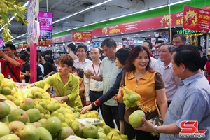 'Khai mạc Tuần lễ Mận và nông sản an toàn tỉnh Sơn La, các tỉnh, thành phố năm 2023
