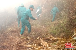 Dân vận khéo trong lực lượng dân quân, dự bị động viên