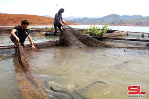 Xây dựng sản phẩm OCOP thủy sản