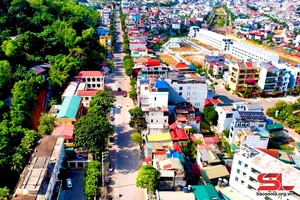 Tự hào phường mang tên Anh hùng liệt sĩ Tô Hiệu 