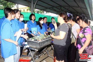 Tuổi trẻ Thành phố hưởng ứng Ngày cao điểm chiến sĩ tình nguyện vì đô thị văn minh