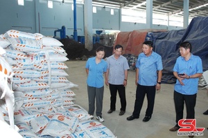 Đồng chí Phó Bí thư Thường trực Tỉnh ủy kiểm tra tình hình hoạt động, sản xuất một số nhà máy tại huyện Mai Sơn