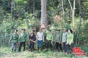 Nâng cao trách nhiệm quản lý, bảo vệ rừng