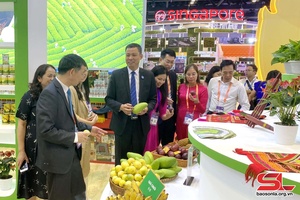 Sơn La tham gia Hội chợ Trung Quốc - ASEAN lần thứ 20