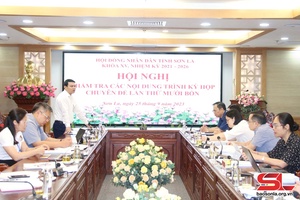 Ban Kinh tế - Ngân sách thẩm tra các nội dung trình Kỳ họp chuyên đề HĐND tỉnh