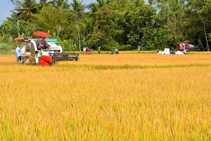 Tạo đà hình thành nền nông nghiệp sinh thái, minh bạch, trách nhiệm
