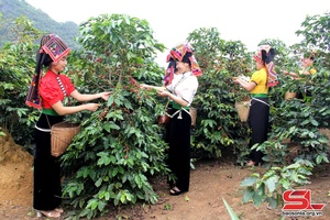 Náo nức chuẩn bị cho Hội thi nhà nông đua tài 