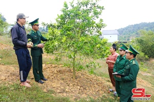 Đẩy mạnh tăng gia sản xuất, nâng cao đời sống bộ đội