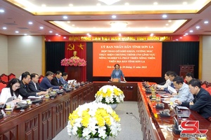 Tháo gỡ khó khăn trong thực hiện Chương trình 1719 lĩnh vực nông nghiệp và PTNT 